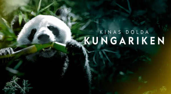 Kinas dolda kungariken