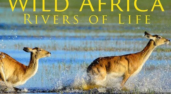 Wild Africa: Rivers of Life