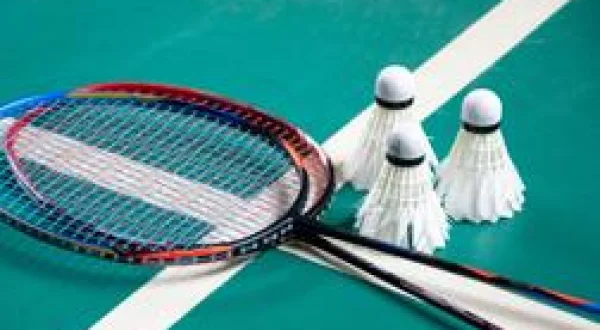 Badminton : Internationaux de France