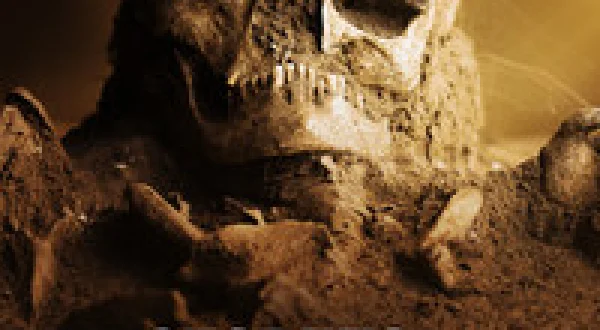 Secrets in the Sand