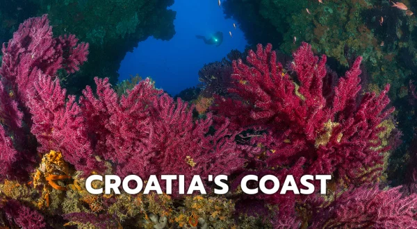 Croatias Coast - Endless and Wild