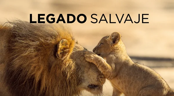 Legado salvaje