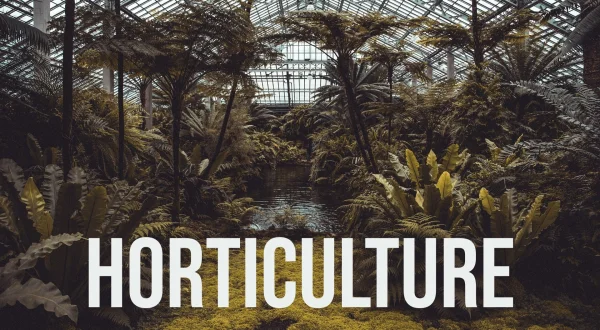 Horticulture