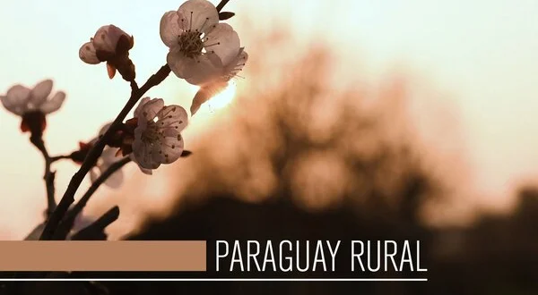 Paraguay Rural