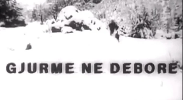 Gjurmë në dëborë