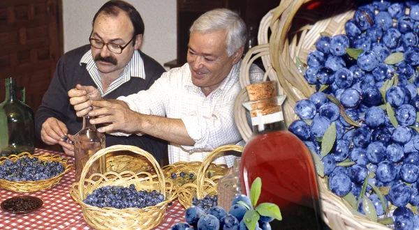 El pacharán. Elaboración artesanal de este licor de arañones, café y anís en el Pirineo