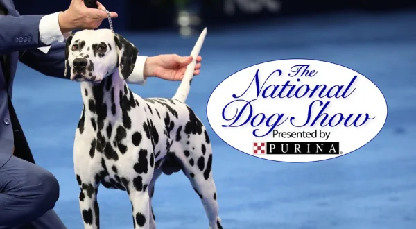 The National Dog Show