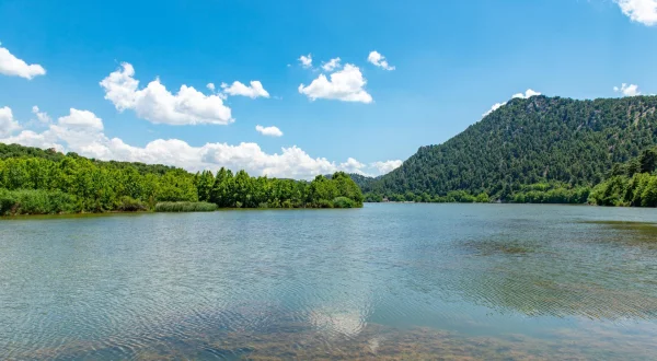 Ulusal Parklar