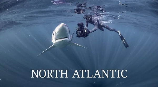 North Atlantic