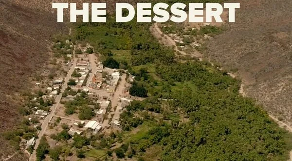 Oasis