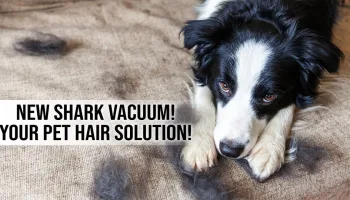 NEW Shark Vacuum! Your Pet Hair Solution!