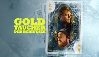 Goldtaucher der Beringsee