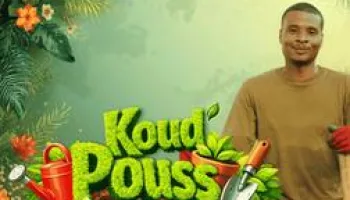 Koud pouss