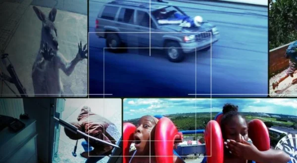 Sur le vif : vidéos insolites | Caught!