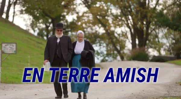 En terre amish