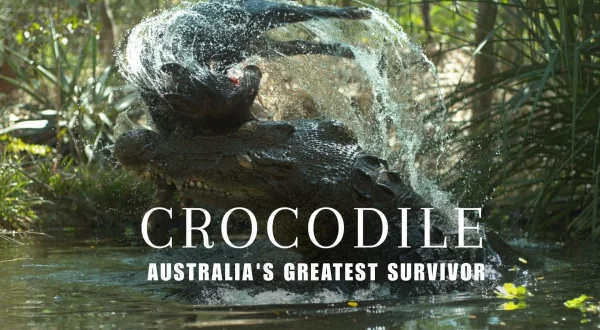 Crocodile Australia's Greatest Survivor
