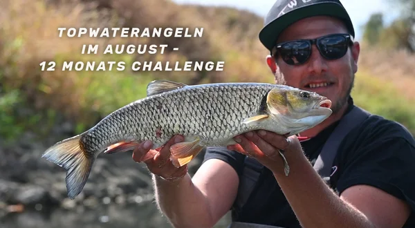 Topwaterangeln im August - 12 Monats Challenge