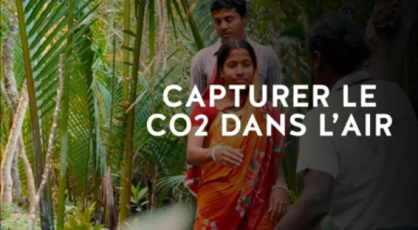 Capturer Le Co2 Dans L'Air