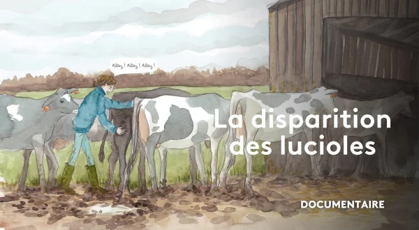 La disparition des lucioles. Une nature redessinée