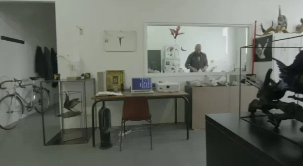 La taxidermie à l'oeuvre