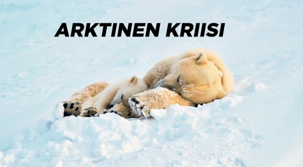 Arktinen kriisi