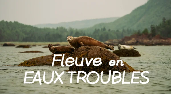 Fleuve en eaux troubles