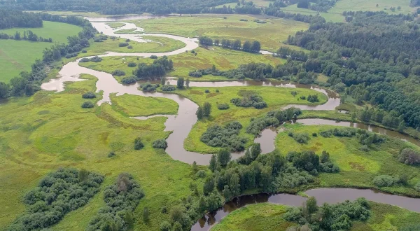 Vltava: Den gyldne flod