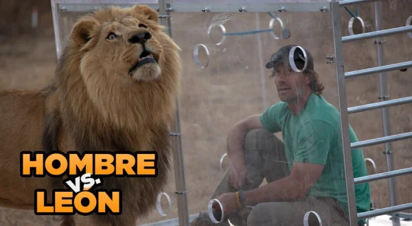 Hombre vs. León
