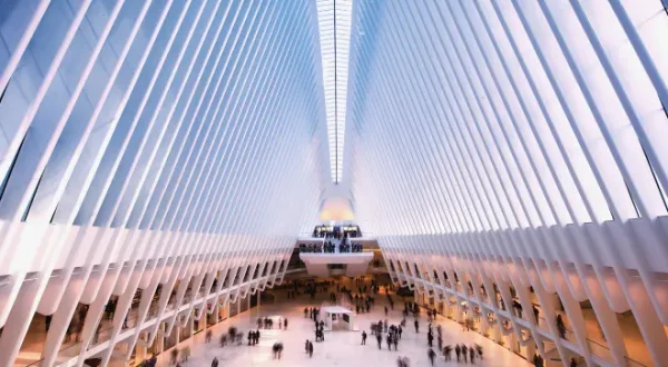 Power Lunch