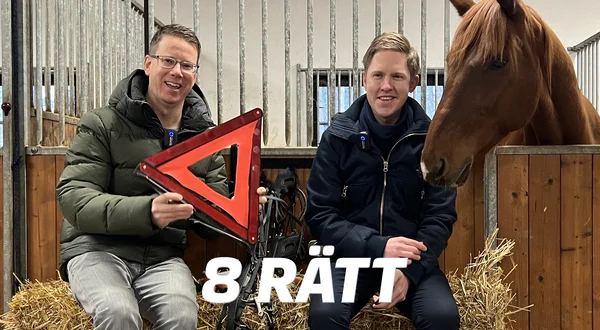 8 Rätt