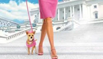 La blonde contre-attaque