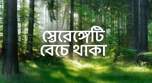 सर्वाइविंग द सेरेंगेटी
