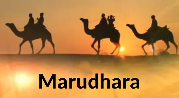 Marudhara