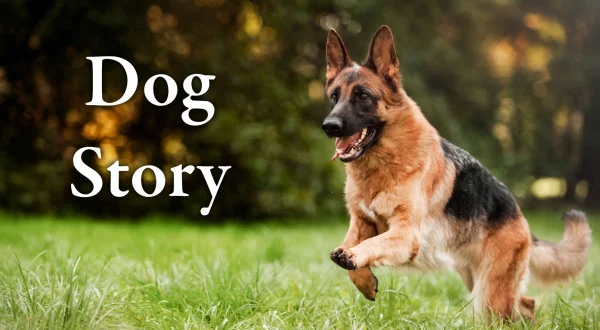 Dog Story