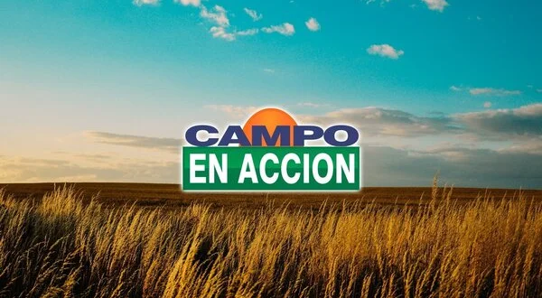 Campo en acción