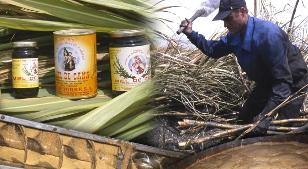 Azúcar y miel de caña. Peligrosa elaboración tradicional de estos alimentos