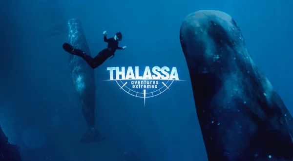 Thalassa, aventures extrêmes