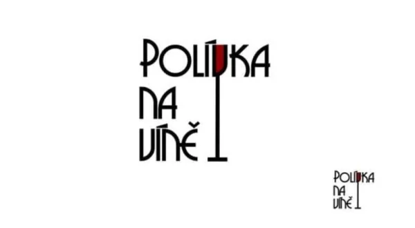 Polívka na víně