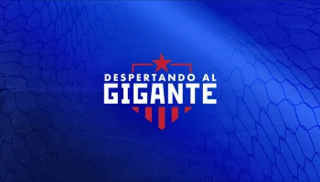 Despertando al gigante