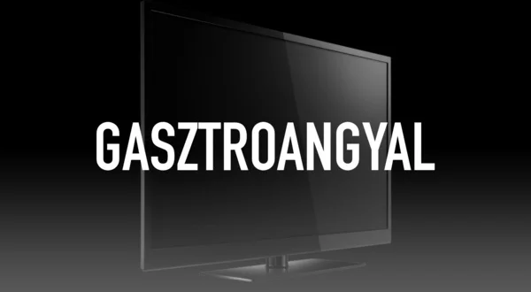 Gasztroangyal