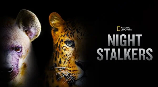 Night Stalkers