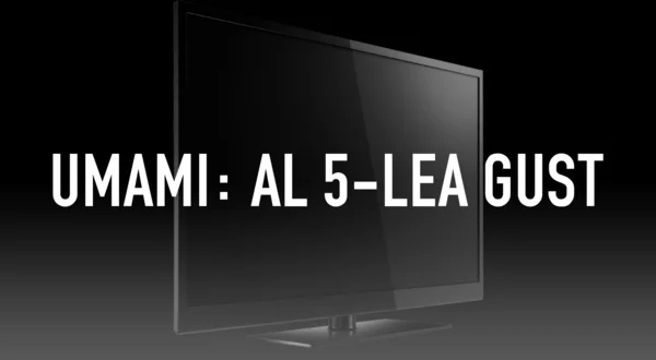 Umami: al 5-lea gust