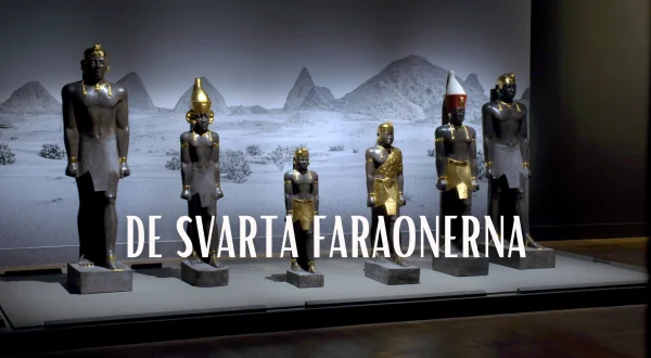De sorte faraoer