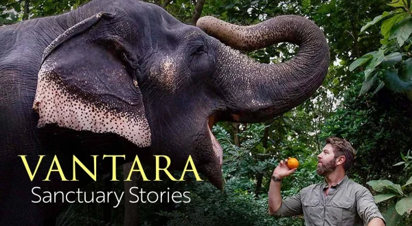Vantara: Sanctuary Stories