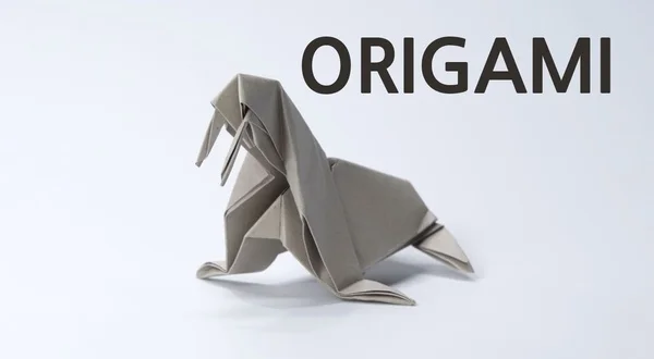Origami