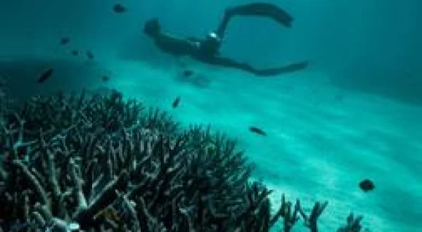 Australie : les profondeurs de l'océan