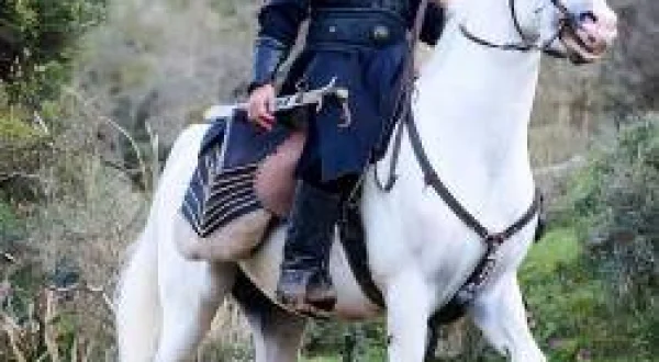 Diriliş Ertuğrul