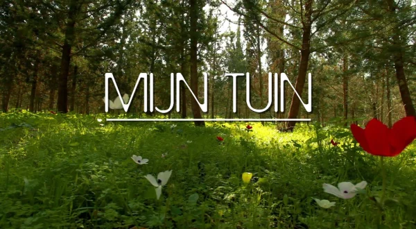 Mijn tuin