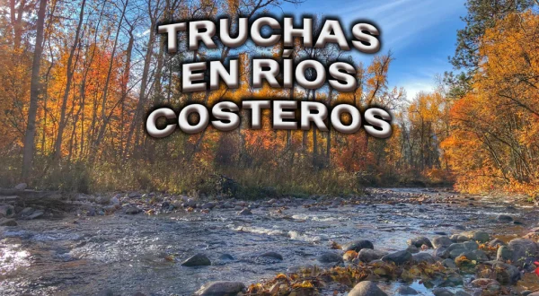 Truchas En Ríos Costeros