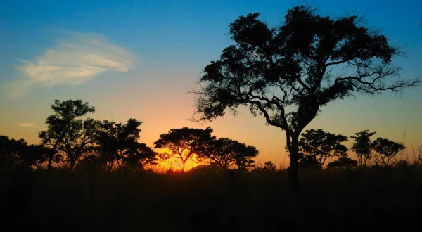 S0E2 - Afrika Ekstreme